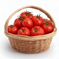 Tomato